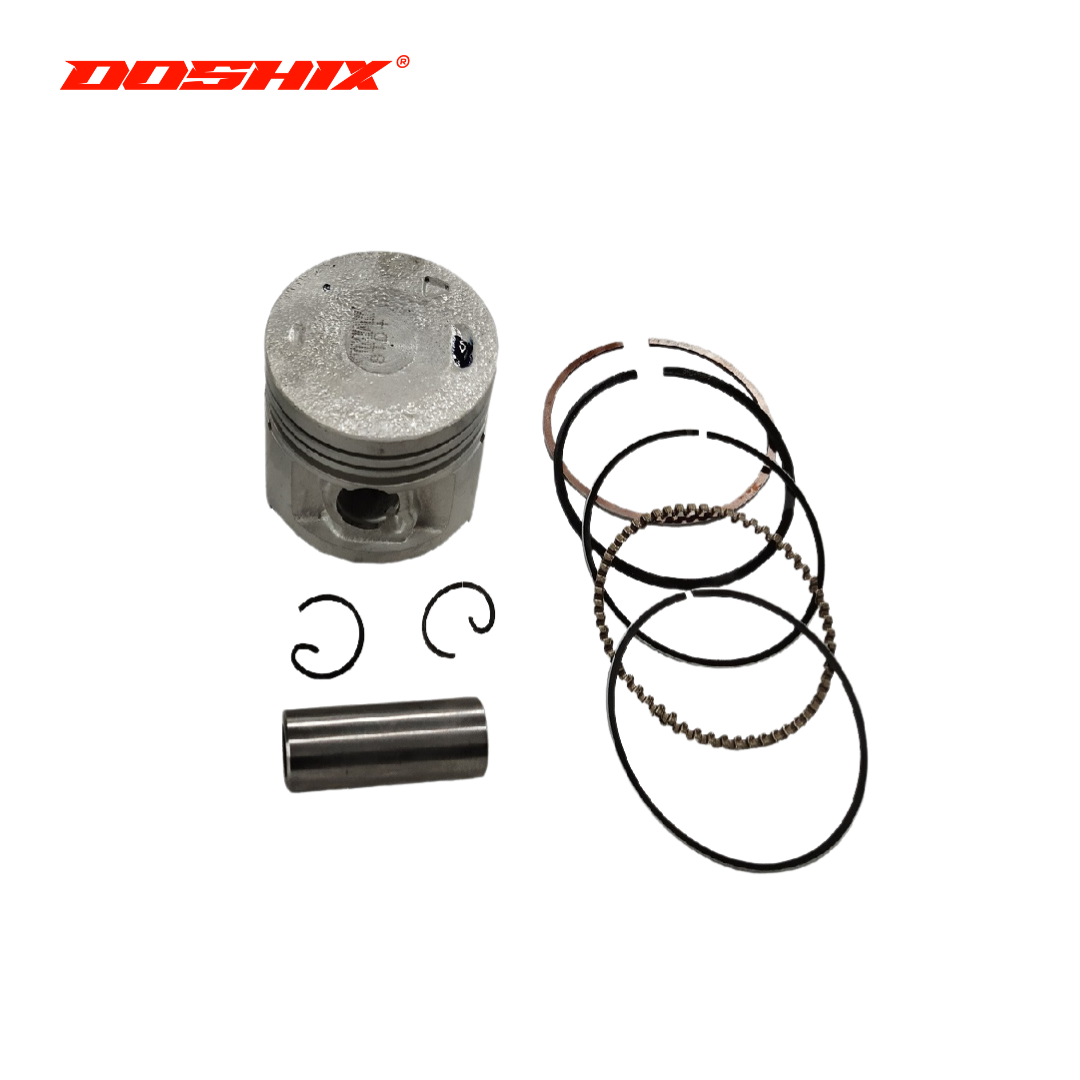 PISTON KIT WITH RING